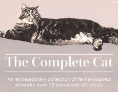 The Complete Cat – Exhibition