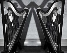 Tom Moth~ Harp & Electronics + Boci
